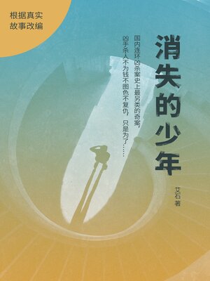 cover image of 消失的少年